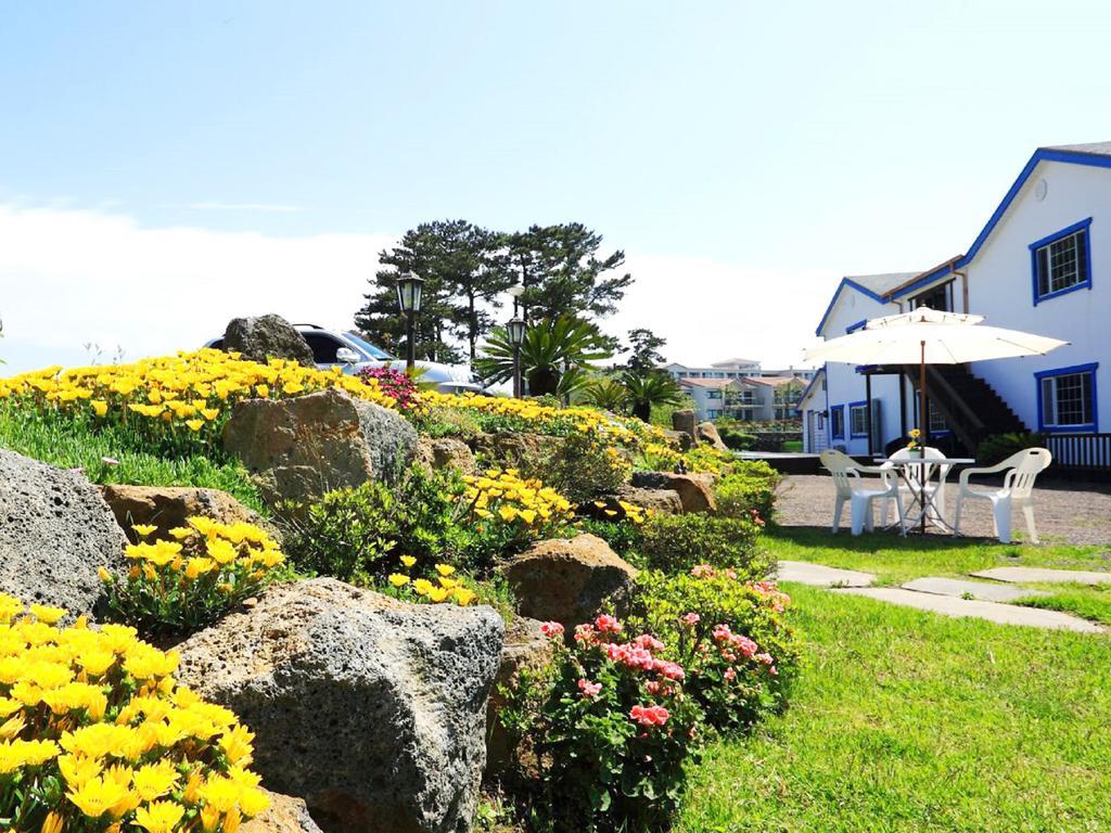 White Dream Pension Jeju Extérieur photo
