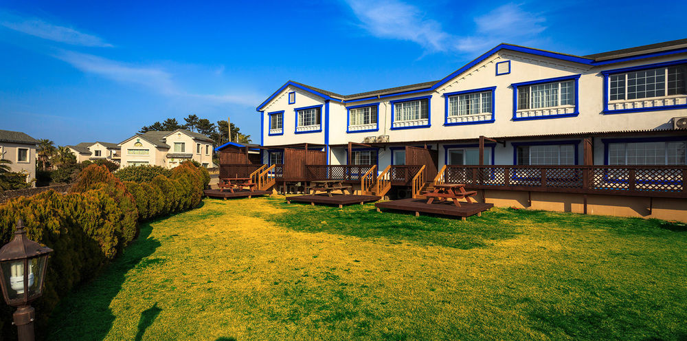 White Dream Pension Jeju Extérieur photo