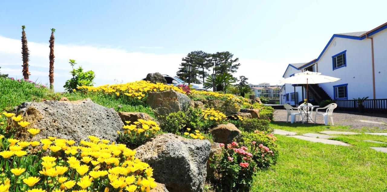 White Dream Pension Jeju Extérieur photo